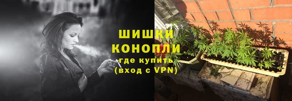 индика Верхний Тагил