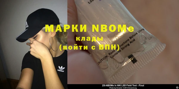 индика Верхний Тагил
