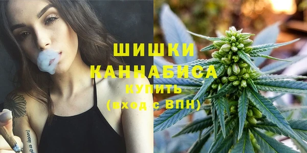 индика Верхний Тагил