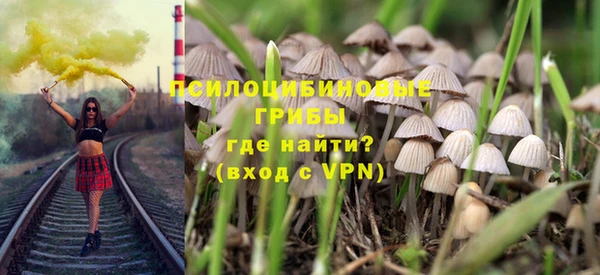 прущая мука Верея