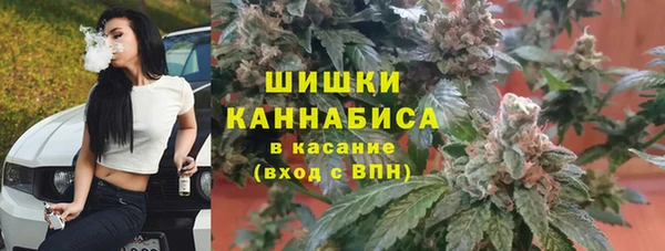 индика Верхний Тагил