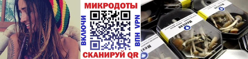 Псилоцибиновые грибы Magic Shrooms  наркотики  Ноябрьск 